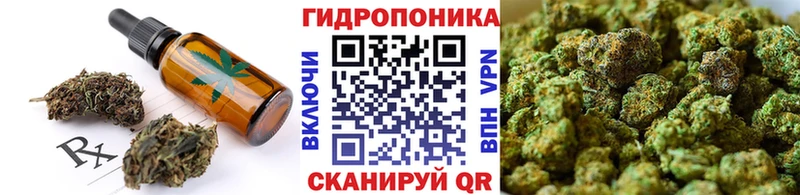 Canna-Cookies конопля  закладка  ссылка на мегу вход  Калининец 