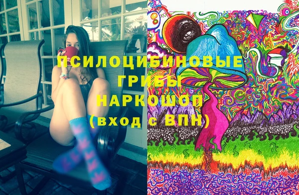 дурь Белокуриха