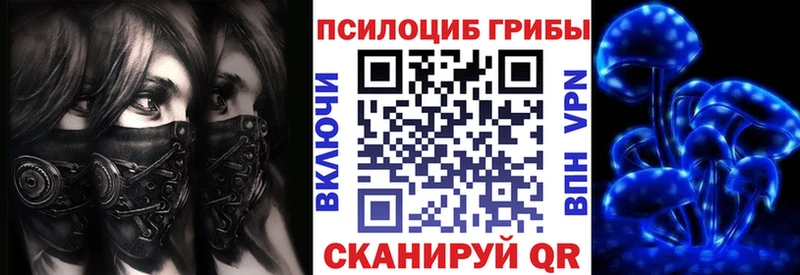 купить наркотики сайты  Калининец  Галлюциногенные грибы Psilocybine cubensis 