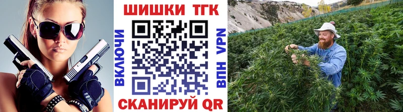 Бошки Шишки план  где купить   Калининец 